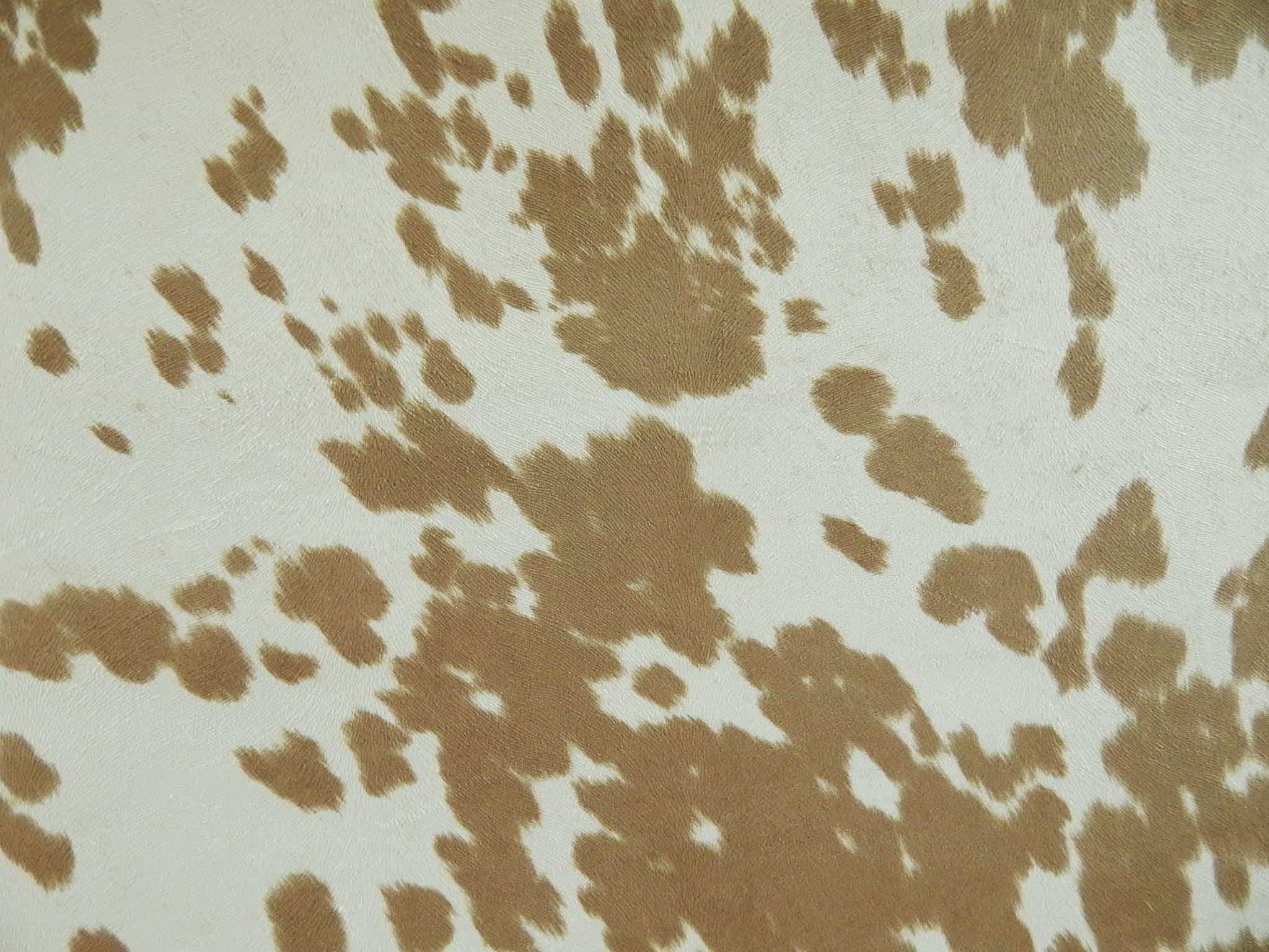 Suede Velvet Cow Print Fabric Udder Madness Upholstery 58 Wide