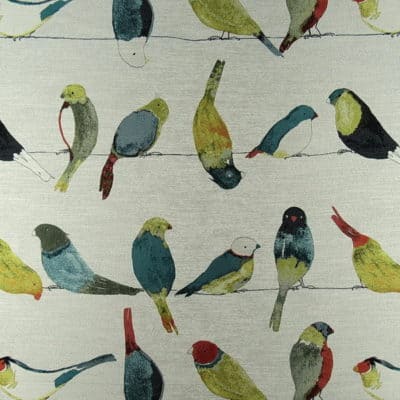 TFA Fabrics Early Birds Multi Fabric