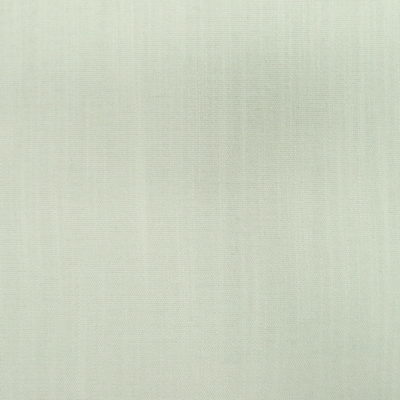 Crypton Home Daily Snow Performance Upholstery Fabric