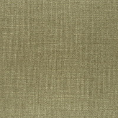 PKaufmann Groupie Sandstone, Beige Solid Fabric