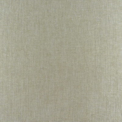 PKaufmann Groupie Sandstone Solid Fabric
