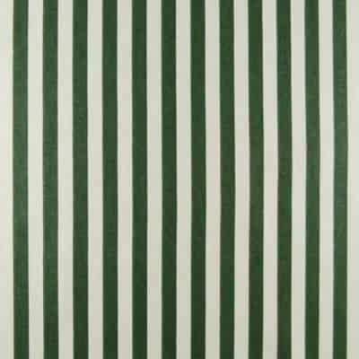 Lentini Green Beige Stripe Cotton Fabric