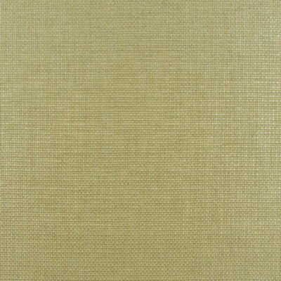 Plaited Gold Grass Cloth Design Fabric