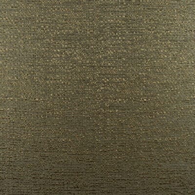 Taz Texture Gray Green Solid Upholstery Fabric
