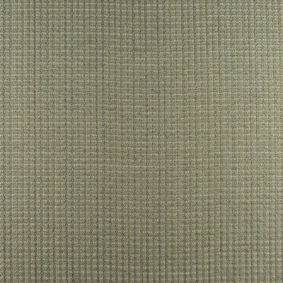 Name Dropper Taupe Texture Upholstery Fabric