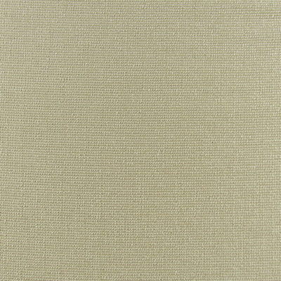 River Sand Solid Beige Fabric