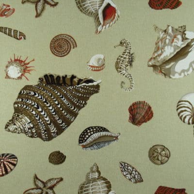 Novelty Shells Sand Cotton Print Fabric