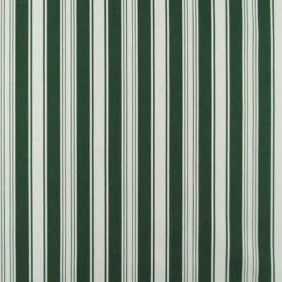 Steady Stripe Green Natural Cotton Fabric