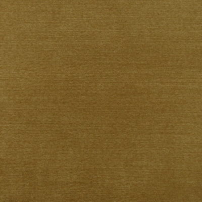 Richloom Munchkin Amber Solid Fabric