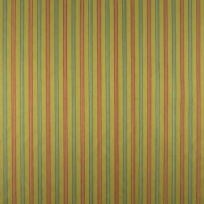 Picadilly Stripe Amber Gold Fabric