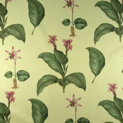 Lanzarote Canary Botanical Print Fabric