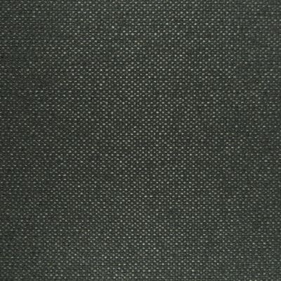 Revolution Performance Fabrics Rocksalt Granite Fabric