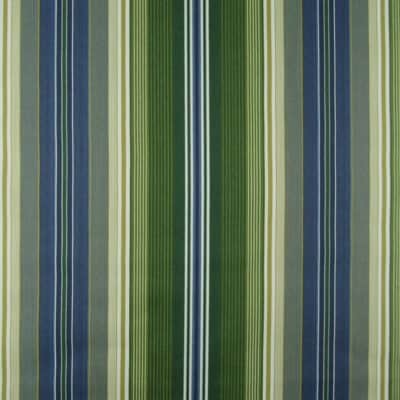 Macon Evergreen Outdoor Stripe
