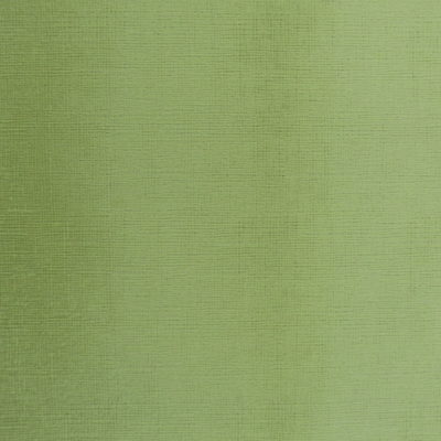 Orient Celery Microfiber Velvet Fabric