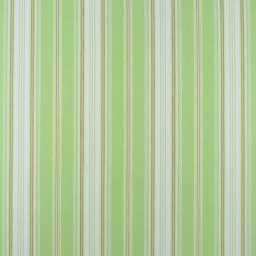 Cotton Stripe Spring Green Fabric