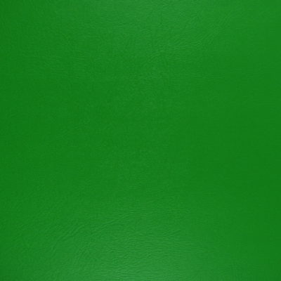 Denali Lime Green Vinyl