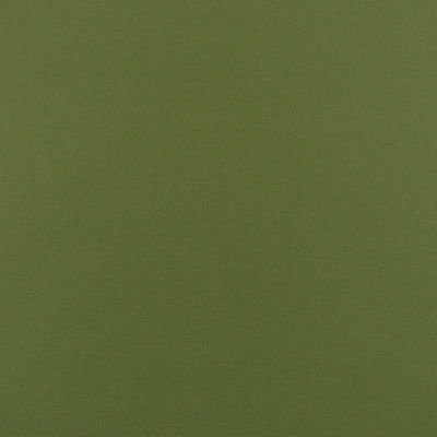 Outdura 5428 Olive green outdoor fabric