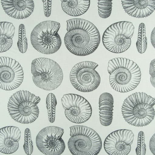 Nautilus Sail Seashells cotton print fabric