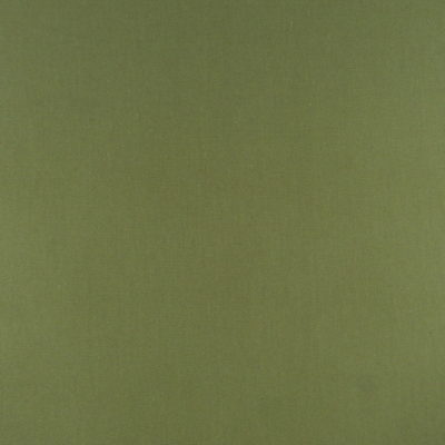 Covington Pebbletex 223 Sage Green Cotton Canvas fabric