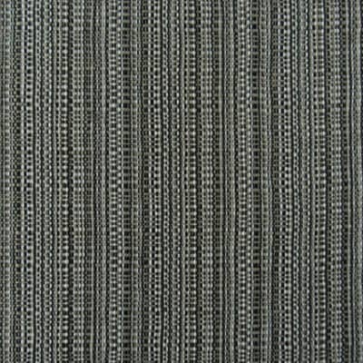 Vista Onyx Upholstery Fabric