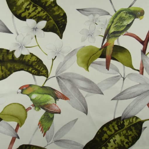 Hillary Farr Designs Hello Polly Greenery tropical bird cotton print fabric