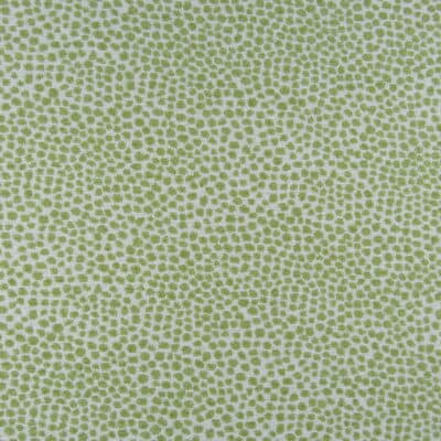 Covington Fabrics Dotify Pear dot design upholstery fabric in green