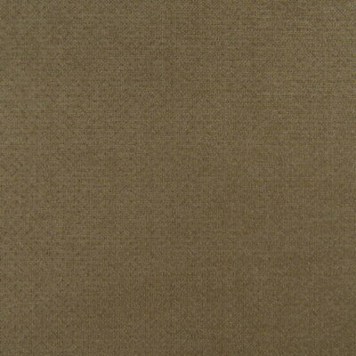 Crypton Home Cuddle Moleskin performance upholstery fabric that is durable and stain resistant. Durable chenille upholstery fabric in tan gold color.