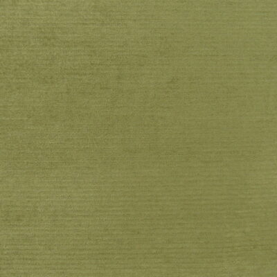 Crypton Home Aria Moss soft to touch and durable upholstery fabric with low pile chenille in green. Great performance fabric that is stain resistant.