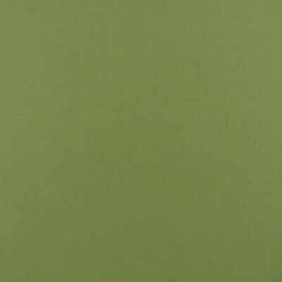 Sunbrella Canvas Gingko 6 Yard Remnant 100% solution dyed acrylic solid canvas in green for outdoor patio cushions. 14 Yard Remnant for $140.00