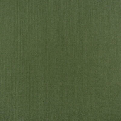 Sunbrella Elements Spectrum Cilantro 3.5 Yard Remnant
