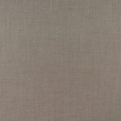 Sunreal Outdoor Hang Ten Dune is a high-performance outdoor fabric featuring a subtle light brown stripe, made from 100% solution-dyed acrylic for exceptional color and durability. It resists mildew, water, and stains, and is easy to clean.