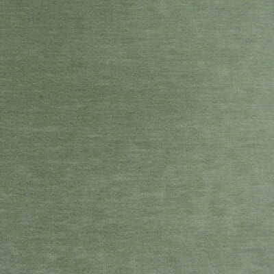 Covington Fabrics Ou Lala Leaf is a strong and long-lasting chenille in light green, rated at 50,000 double rubs and finished with a stain-resistant coating. It’s an ideal choice for upholstering family room furniture, as well as for making pillows and cushions.