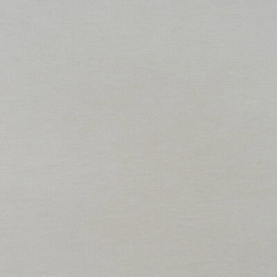 Covington Fabrics Ou Lala Alabaster is a strong and long-lasting chenille in off white, rated at 50,000 double rubs and finished with a stain-resistant coating. It’s an ideal choice for upholstering family room furniture, as well as for making pillows and cushions.